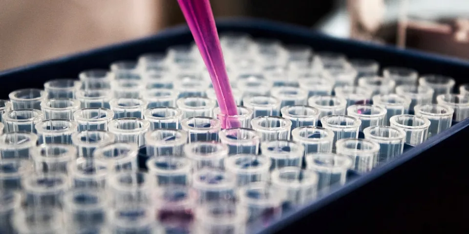 Biological Age vs Chronological Age: What the Markers Tell You