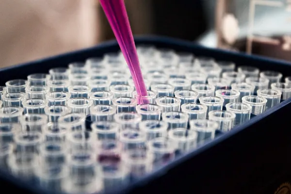 Biological Age vs Chronological Age: What the Markers Tell You